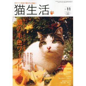 猫生活11月号表紙