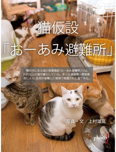 猫仮設「おーあみ避難所」表紙
