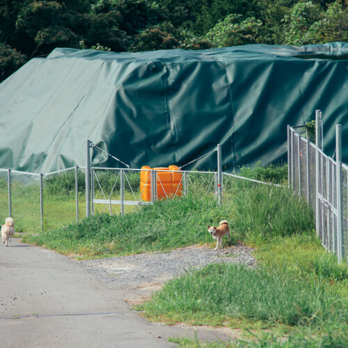 放射性廃棄物の仮置場